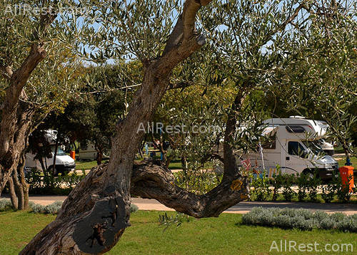 Polari Camping 6